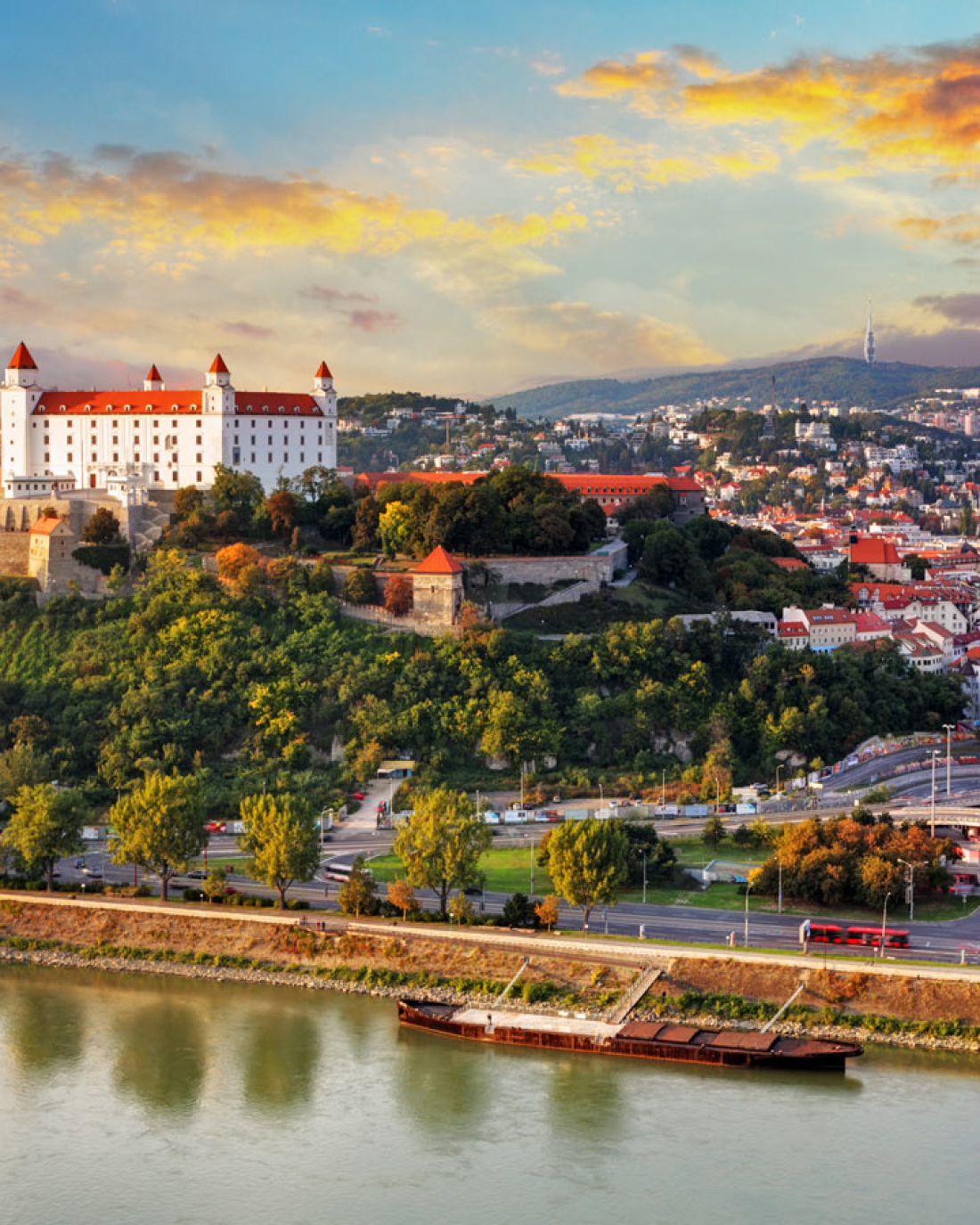 Slovakya - Şap Hastalığı Dolayısıyla Alınan Önlemlerin Sonlandırılmasına İlişkin Duyuru